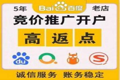 百度推广费用投入与品牌知名度提升的案例分析